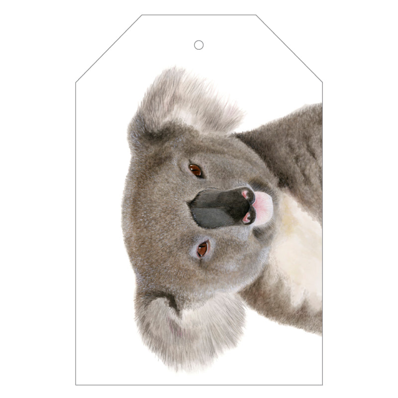 AGCTA1010: Koala Gift Tag